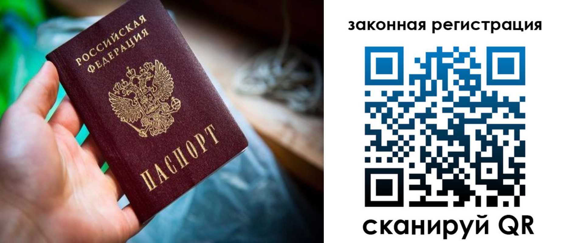 прописка в Болотном